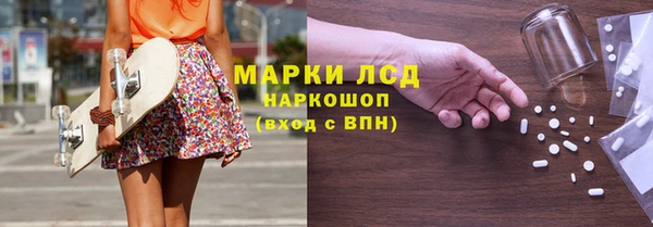 хмурый Белокуриха