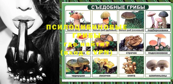 гашик Россошь