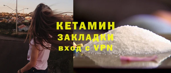 хмурый Белокуриха