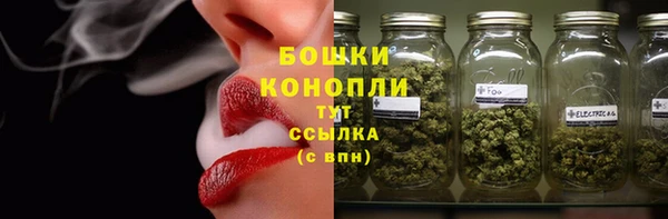 хмурый Белокуриха
