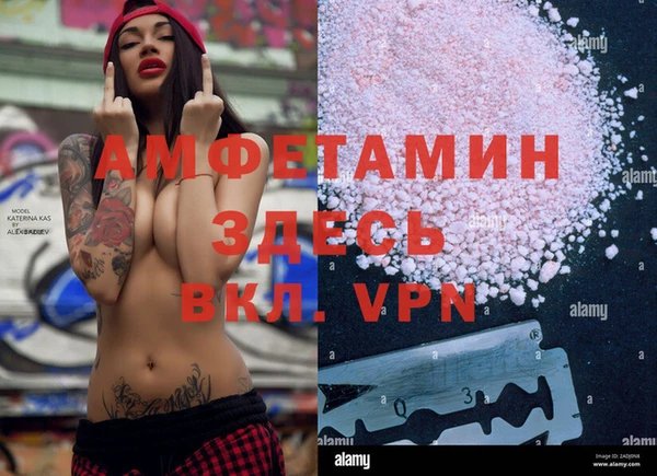 хмурый Белокуриха