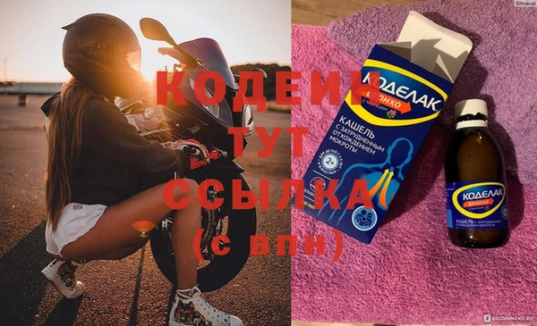 хмурый Белокуриха