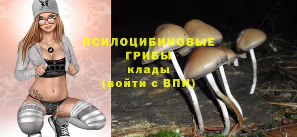 хмурый Белокуриха